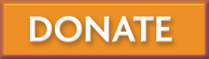 Button-DONATE-orange